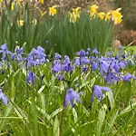 Historic Gamekeeper's House At Castle Holiday home
