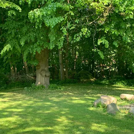 Historic Gamekeeper's House At Castle 度假居 Tranekær