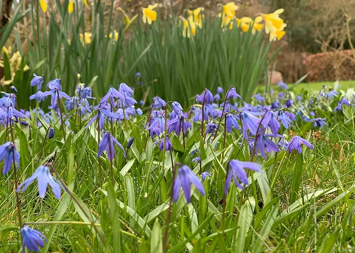 Historic Gamekeeper's House At Castle 別荘